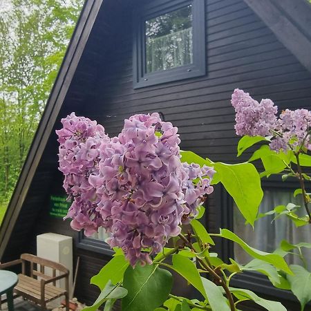 Ferienhaus Marie 125 Bad Arolsen Exterior foto