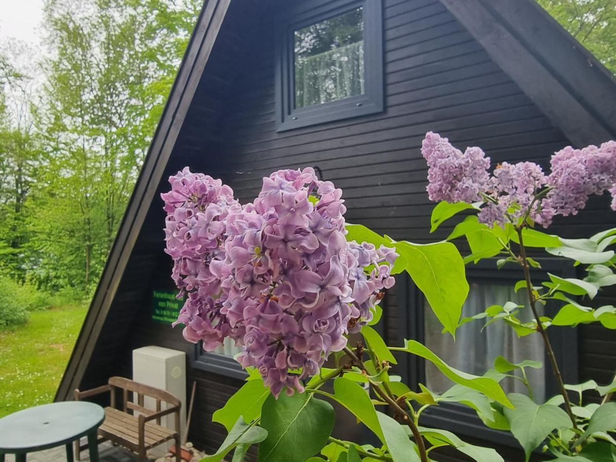 Ferienhaus Marie 125 Bad Arolsen Exterior foto